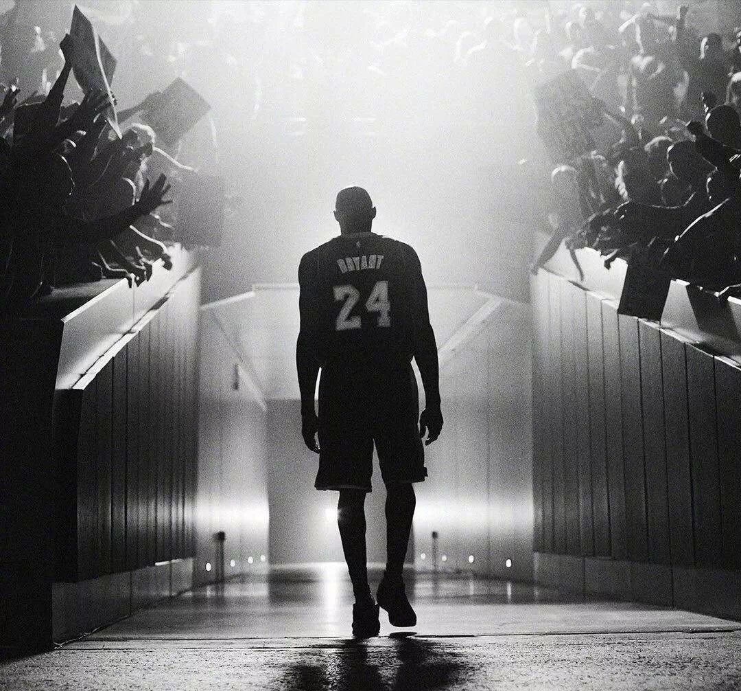 被细化为固 被细化为固